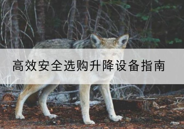 兴县升降货梯厂家推荐-*安全选购升降设备指南