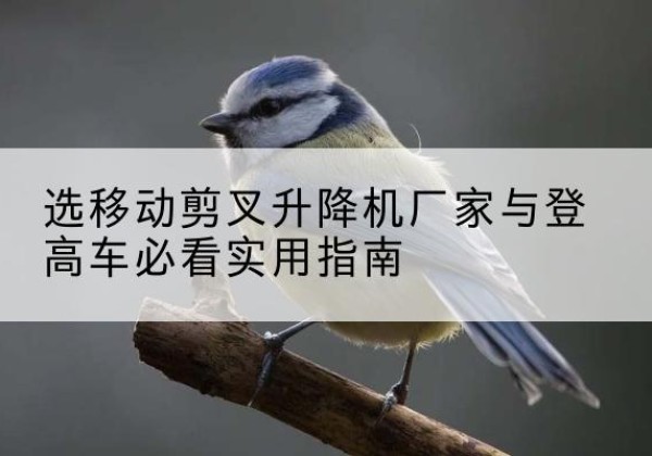 兴县电动升降机厂家-选移动剪叉升降机厂家与登高车必看实用指南